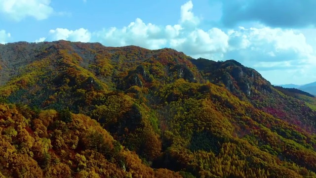 山谷-秋视频下载