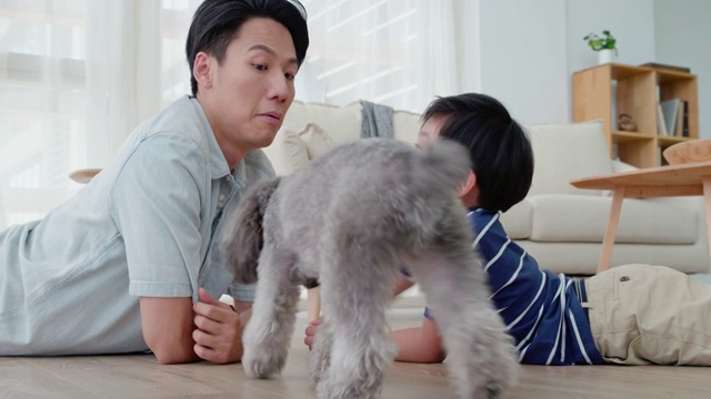 父子俩在地板上视频素材画面2