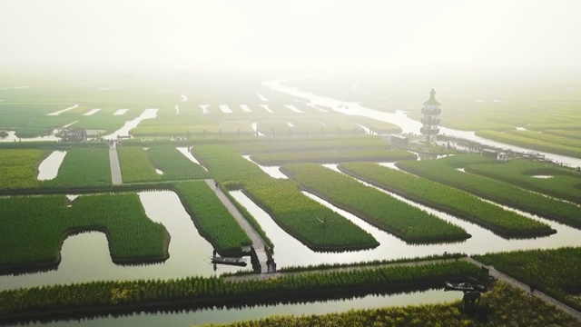 航拍视角下的江苏泰州兴化千垛油菜花4K高清视频视频素材