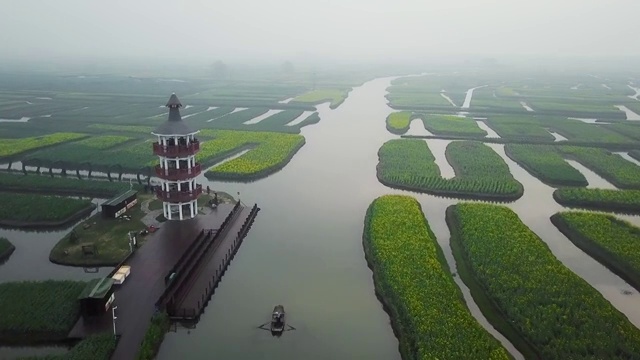 航拍视角下的江苏泰州兴化千垛油菜花4K高清视频视频素材