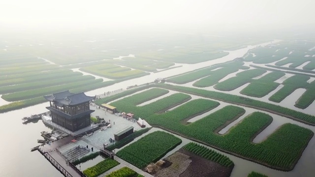 航拍视角下的江苏泰州兴化千垛油菜花4K高清视频视频素材