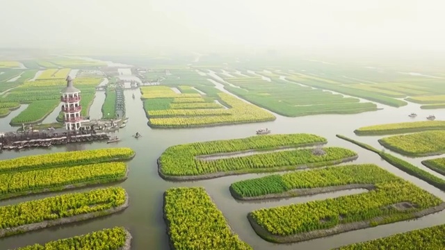 航拍视角下的江苏泰州兴化千垛油菜花4K高清视频视频素材