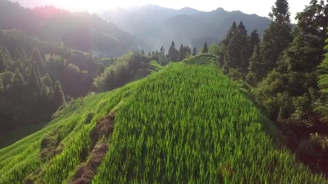 中国贵州黔东南山区梯田航拍视频素材