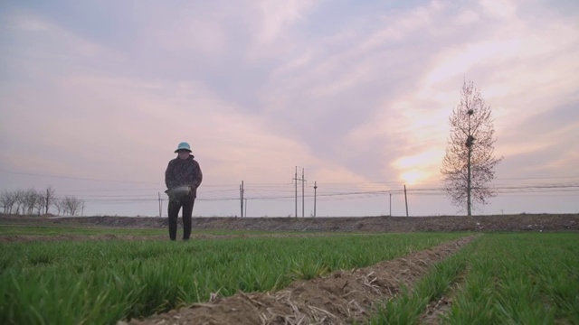 春天农田干农活视频素材