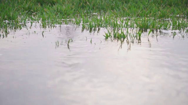 农田浇地视频素材