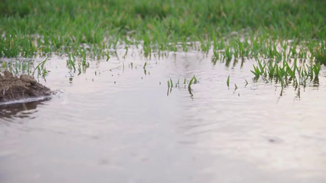 农田浇地视频下载