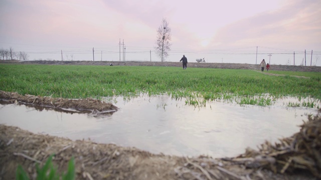 农田浇地视频素材