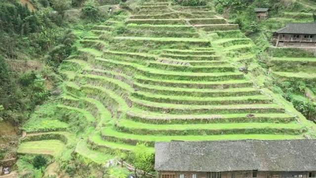 山区里的田园风光视频素材