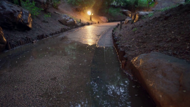 夜晚雨中小径视频下载