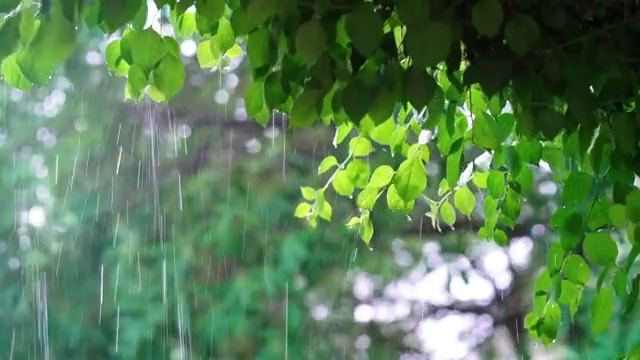 海南的暴雨视频下载