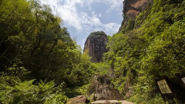 蓝天白云，风景，树木视频素材