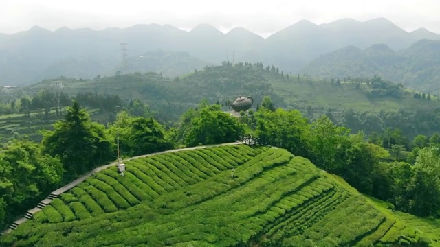 航拍茶园风光视频素材