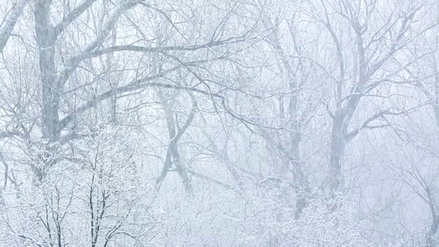 大雪视频下载