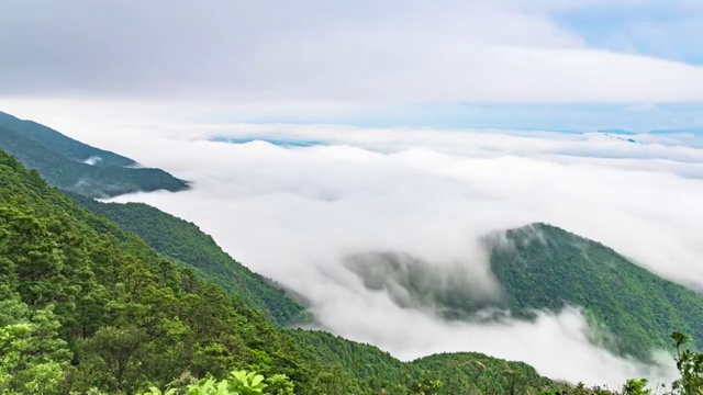 梧桐山夏季雨后看盐田港的云海视频素材