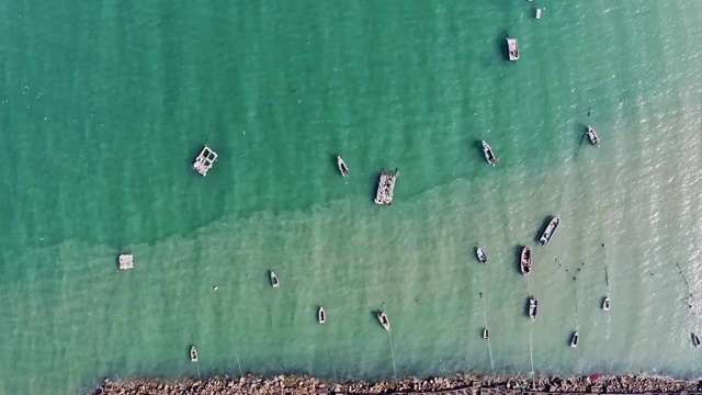 渔船 海鸟视频素材