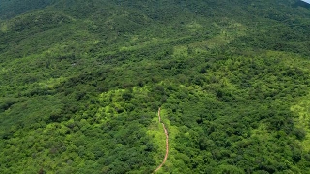 伯公坳航拍七娘山视频素材