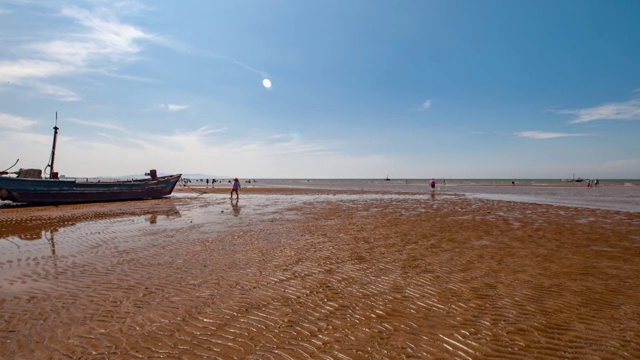 中国辽宁大连夏家河海岸退潮赶海视频素材