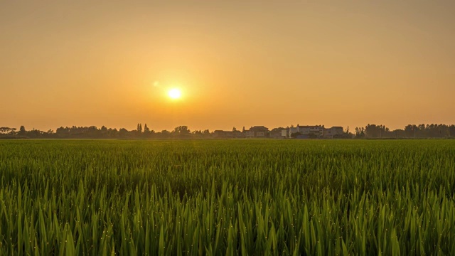 6k60p乡村田野夕阳延时摄影视频素材