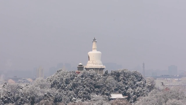 雪后北京北海公园白塔4K视频视频素材