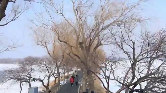 北京雪后颐和园昆明湖沿岸移动延时拍摄视频素材