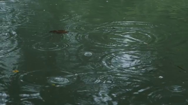 雨天的湖面视频素材