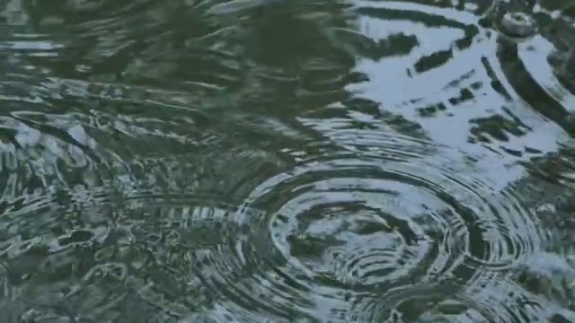 雨天的湖面视频素材