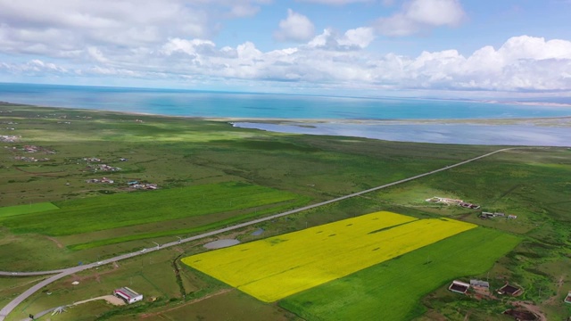 青海湖夏季风光视频素材