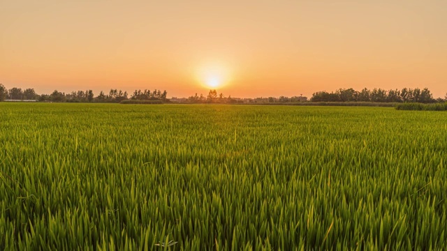 6k60p乡村田野夕阳延时摄影视频素材