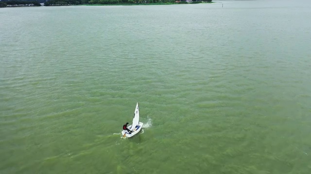 夏季时分运动员在南京玄武湖湖面上进行单桅纵帆船训练视频素材