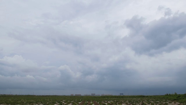 中国山东东营省黄三角农高区试验田大雨来临前的景象视频素材