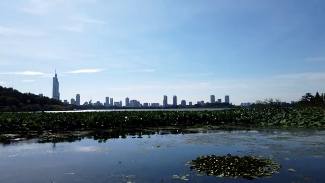 南京玄武湖畔荷叶与南京城市风光轨迹延时摄影视频视频素材