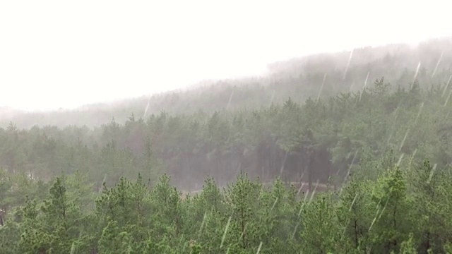 四川大暴雨视频下载