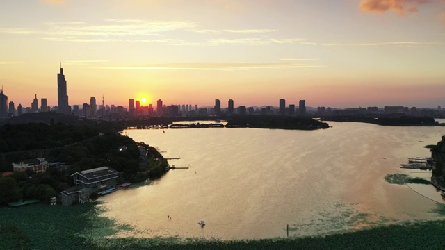 飞越夕阳下的南京玄武湖的荷花荷叶视频素材