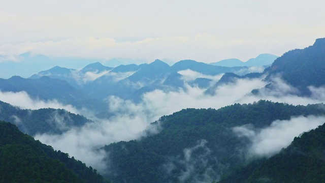 三百山视频素材