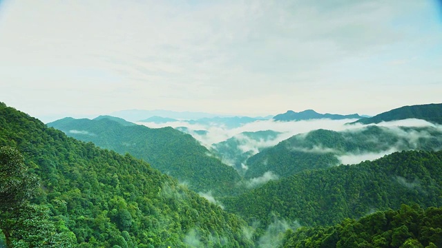 三百山视频素材