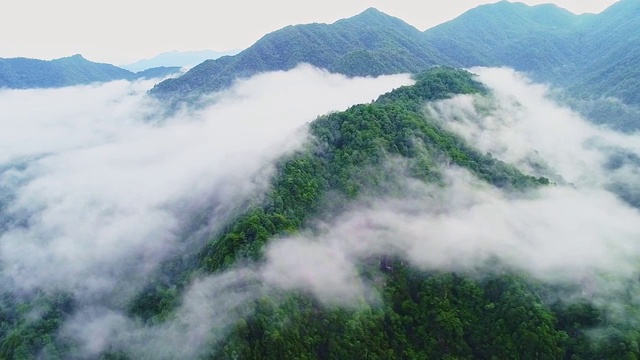 三百山视频素材