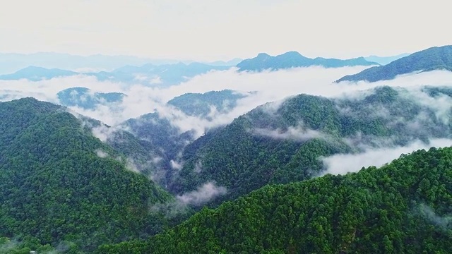 三百山视频素材