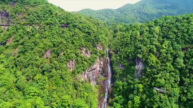 三百山视频素材