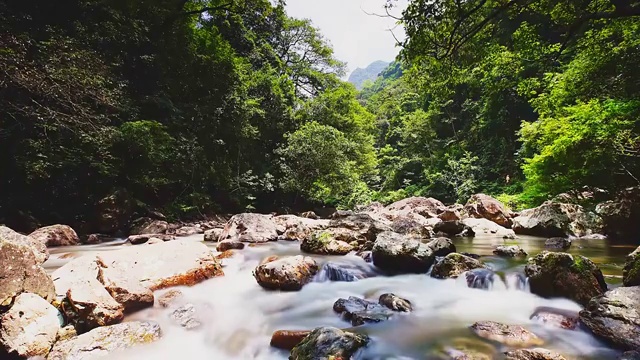 三百山视频素材