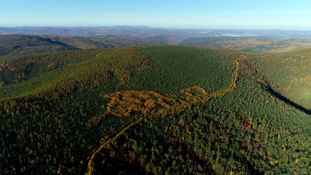 航拍大兴安岭金秋林海山路视频素材