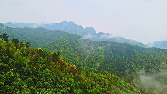 杜鹃山(笔架山)视频素材