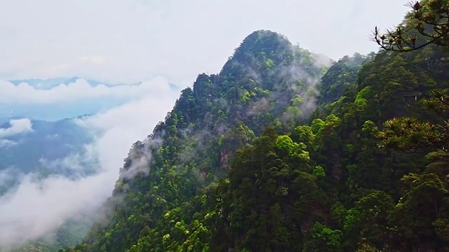 杜鹃山(笔架山)视频素材