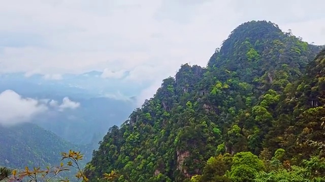 杜鹃山(笔架山)视频素材