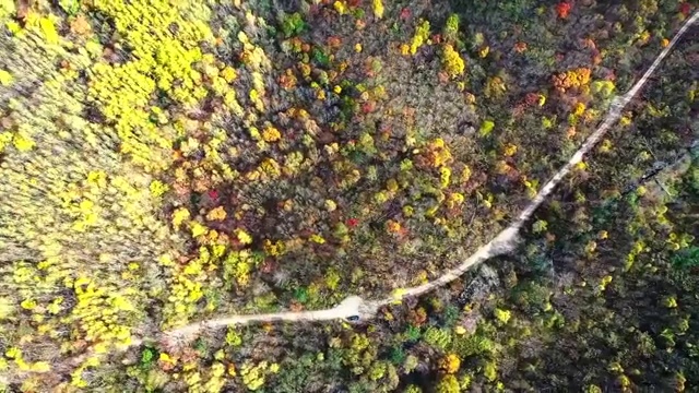 金秋五花山视频素材