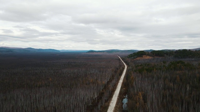 航拍大兴安岭晴天的林间道路视频素材