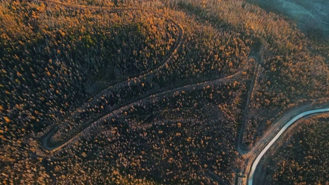 航拍秋季阳光下大兴安岭林区蜿蜒的道路视频素材