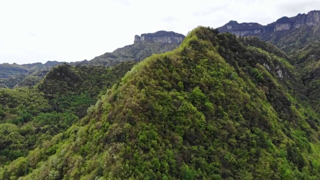 航拍米仓山峡谷风光视频素材