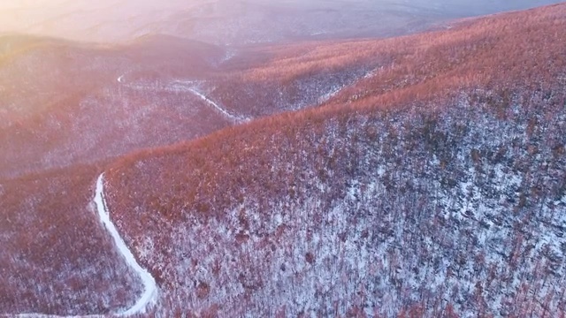 大兴安岭山岭原始森林冬雪风光视频素材