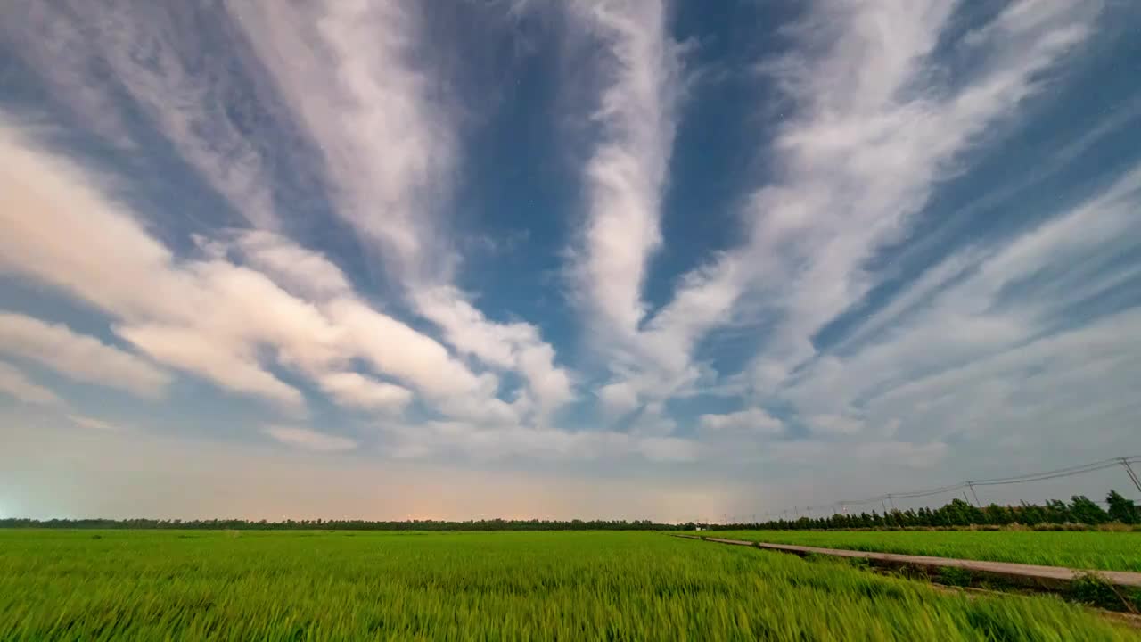 上海崇明稻田边的星空8k延时视频素材