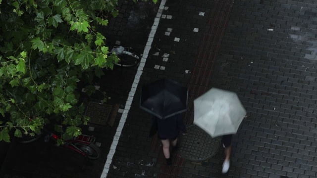 雨黑白伞男女视频下载